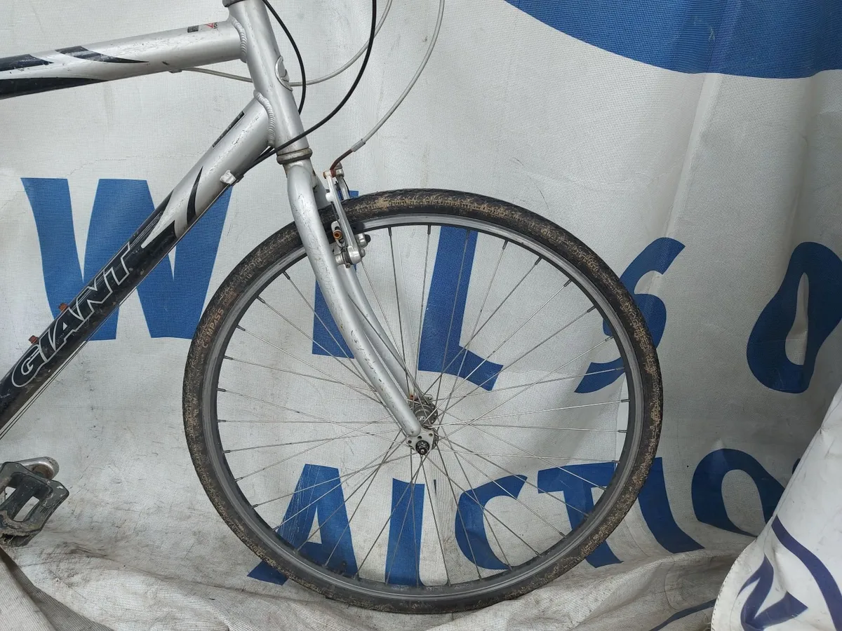 Online Push Bike Auction - Image 4