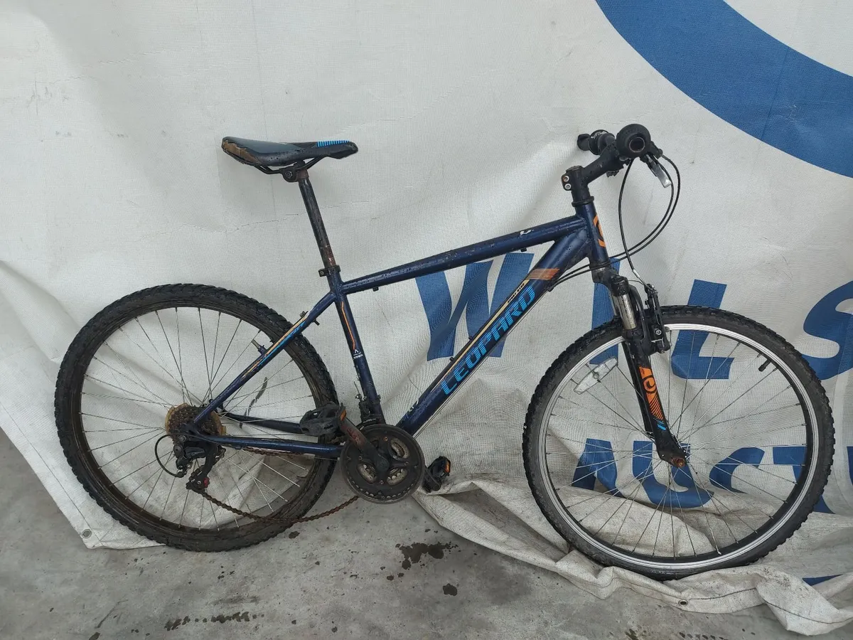 Online Push Bike Auction - Image 2