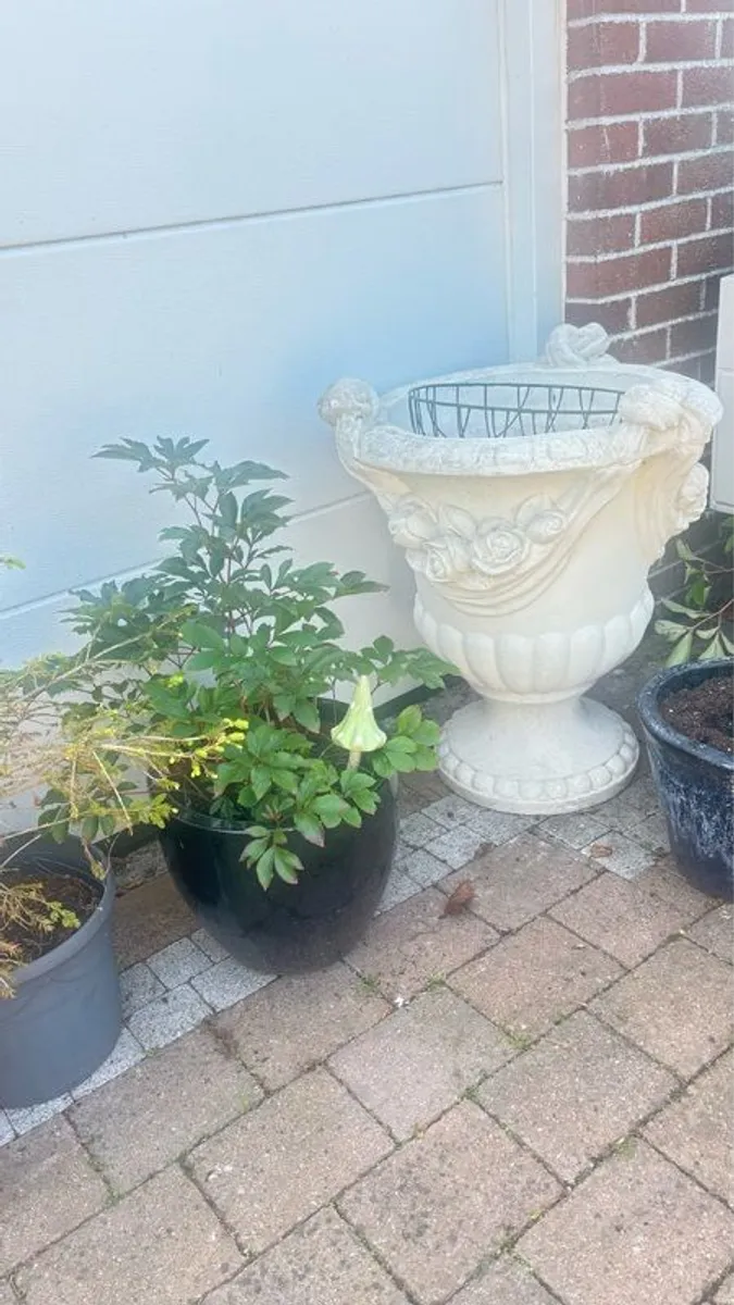 Classical Garden Urns - Image 1