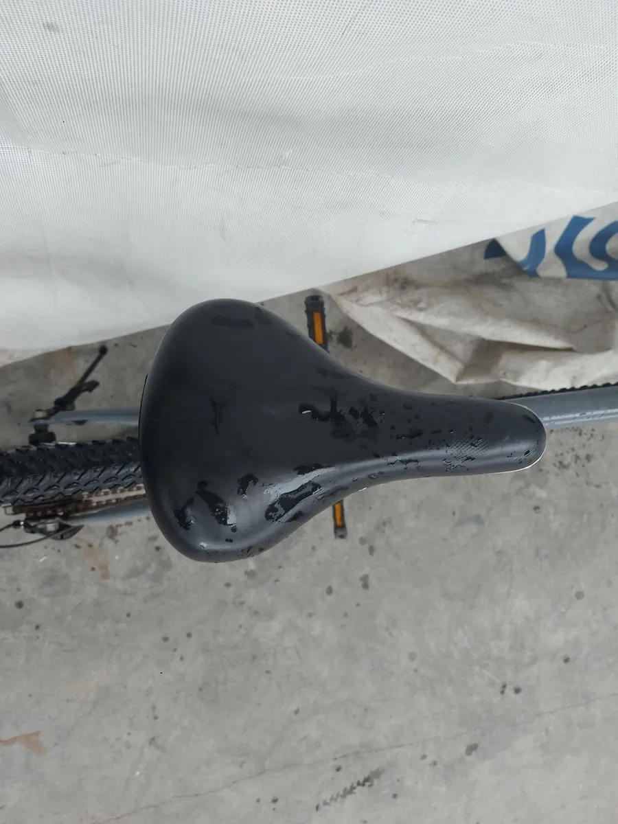 Online Push Bike Auction - Image 1