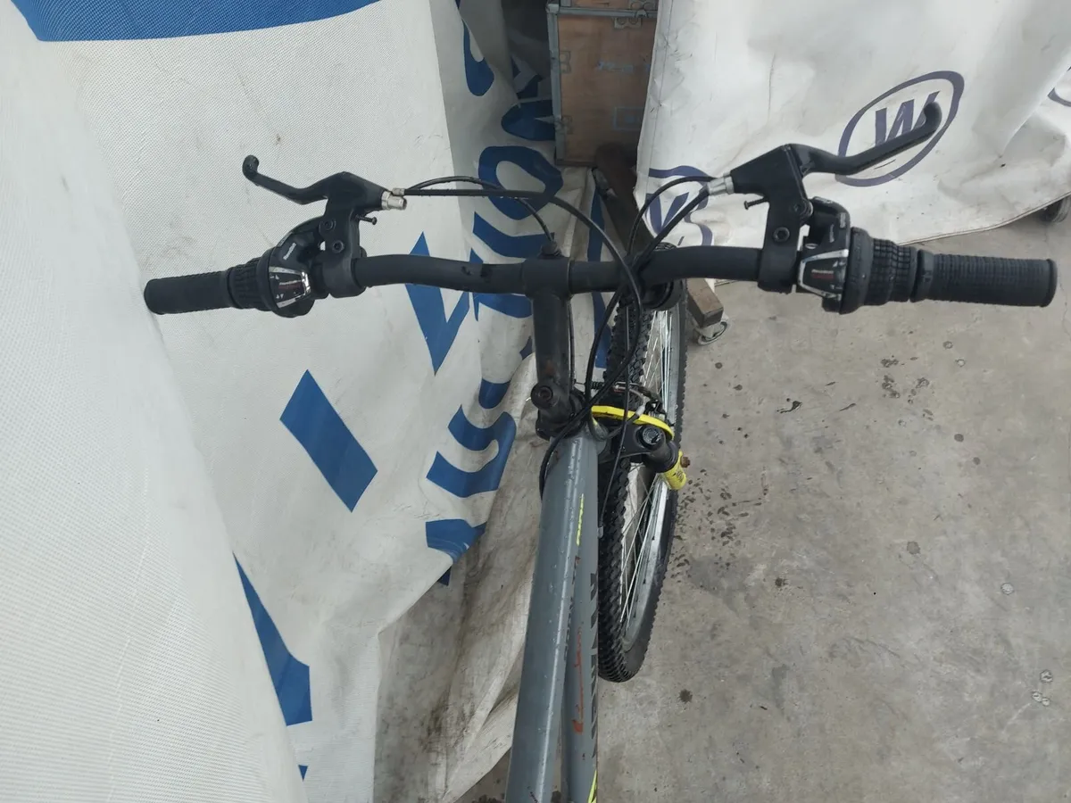 Online Push Bike Auction - Image 2