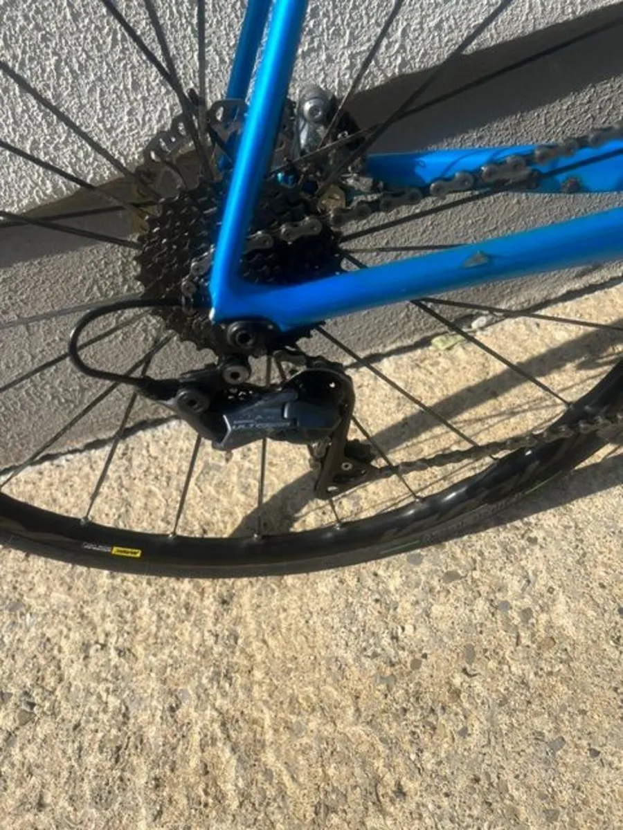 Giant TCR Advanced 1 Disc-Pro Compact L Blue - Image 3