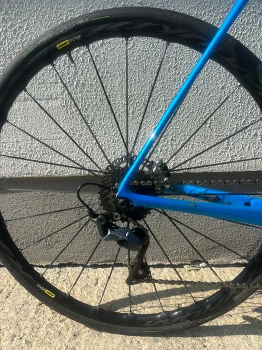 Giant TCR Advanced 1 Disc-Pro Compact L Blue - Image 4