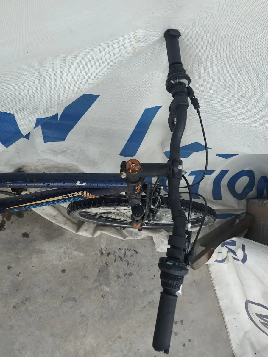 Online Push Bike Auction - Image 3