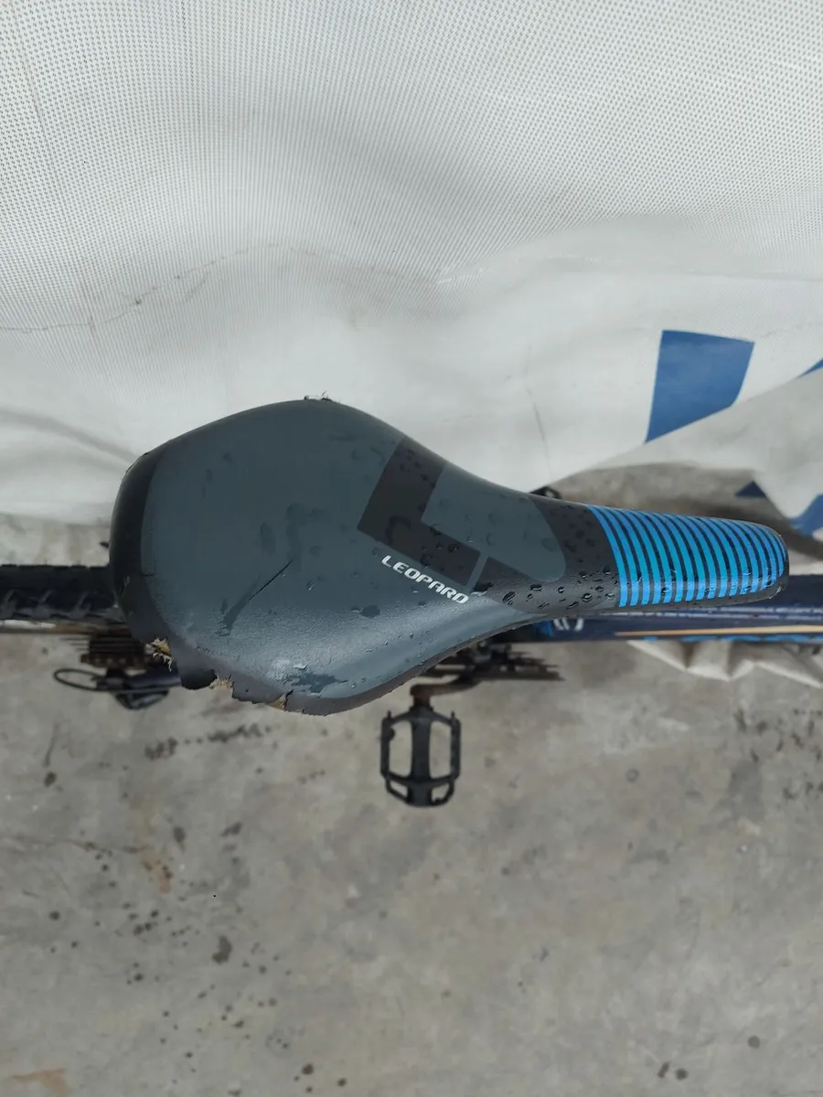 Online Push Bike Auction - Image 1