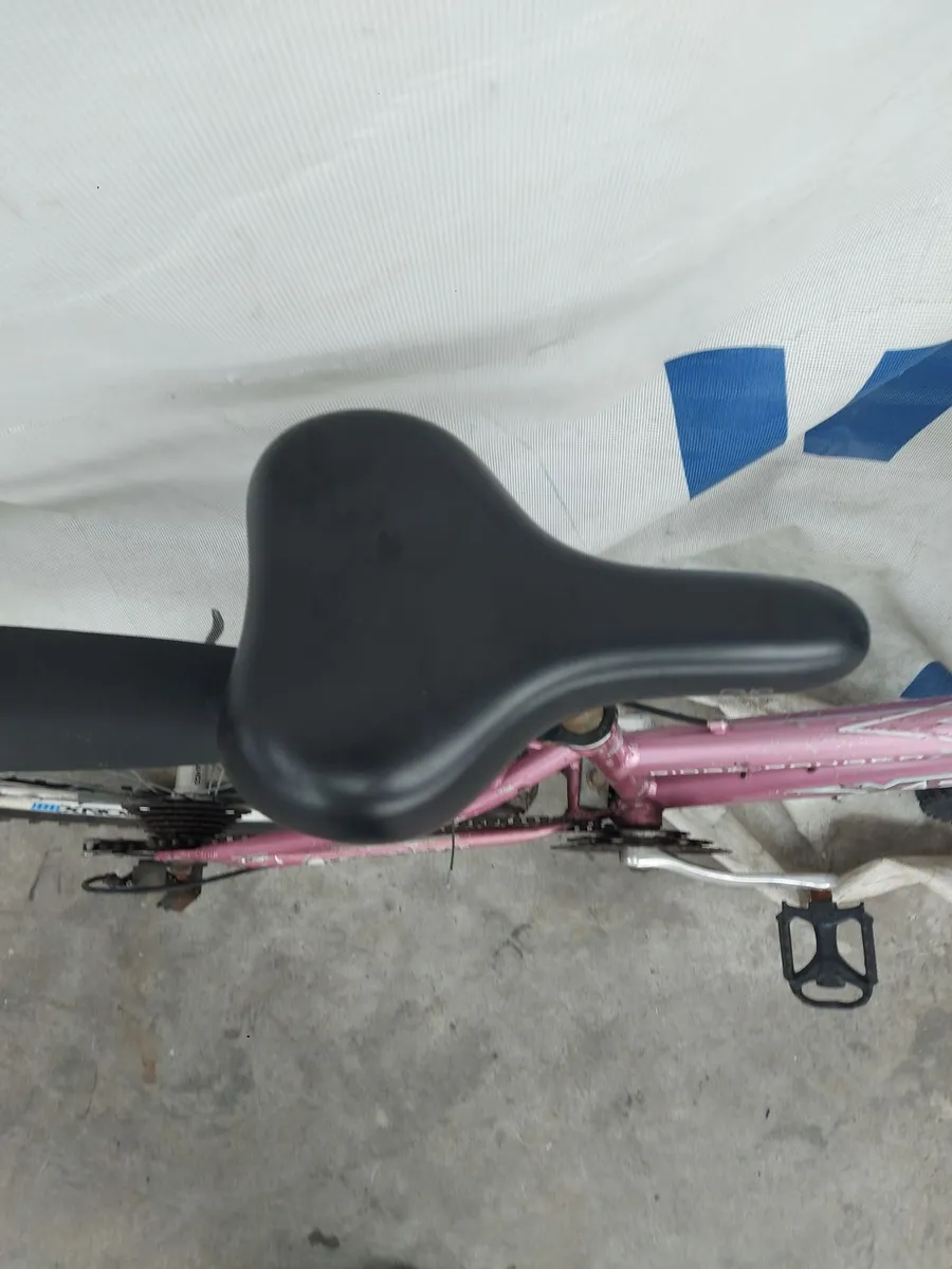 Online Push Bike Auction - Image 1