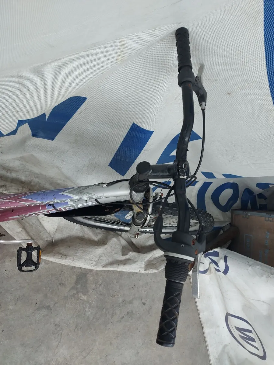 Online Push Bike Auction - Image 2