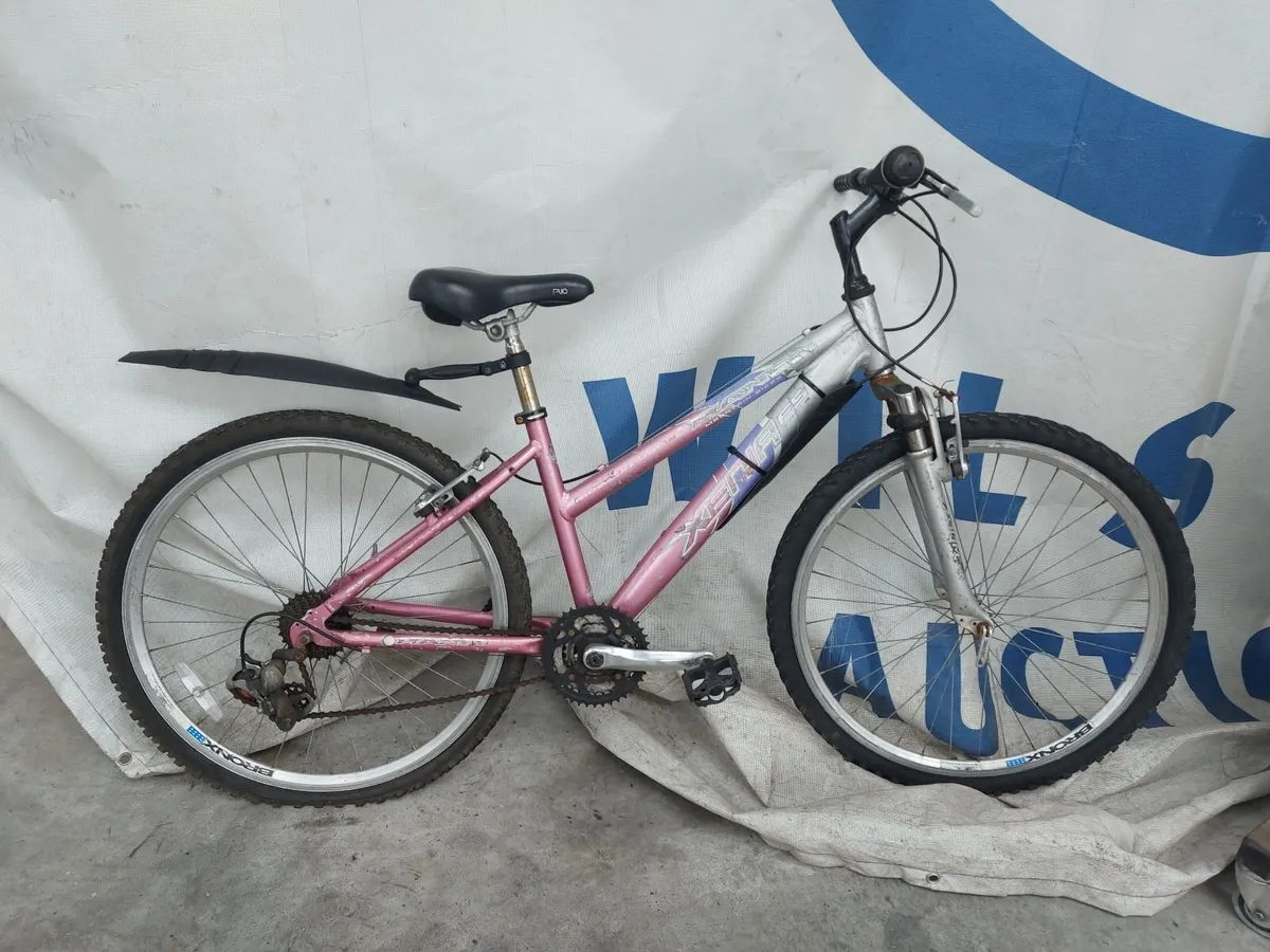 Online Push Bike Auction - Image 3