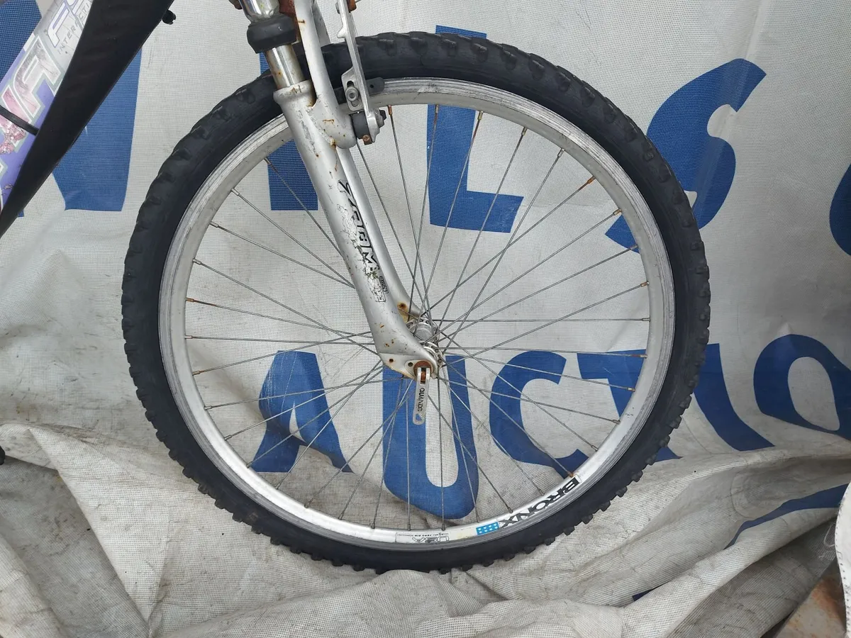 Online Push Bike Auction - Image 4