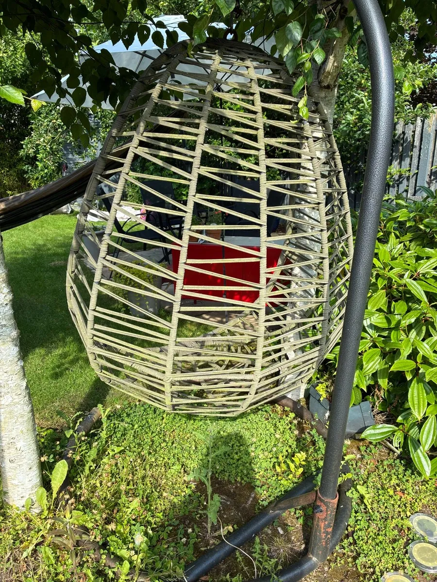 Egg Chair & Cushion - Image 2