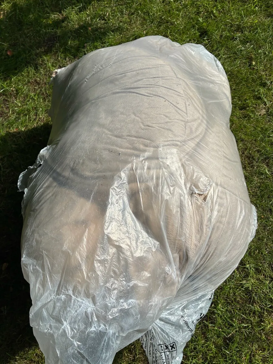 Egg Chair & Cushion - Image 3