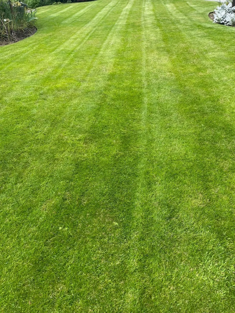 Lawnmower - Image 2