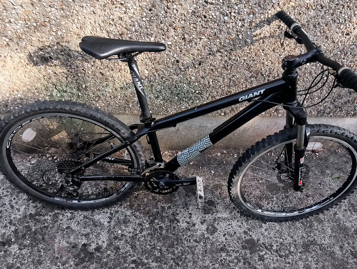 Giant bike - Image 2
