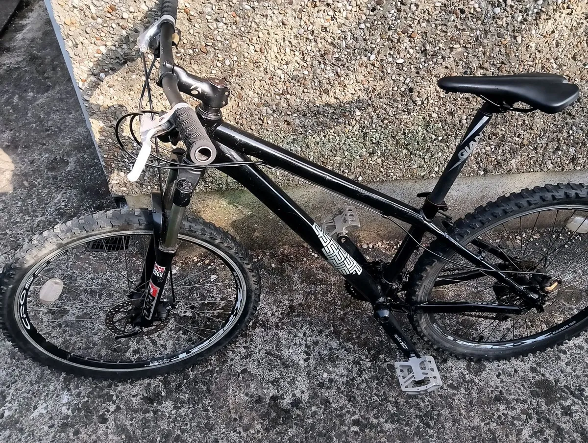 Giant bike - Image 1