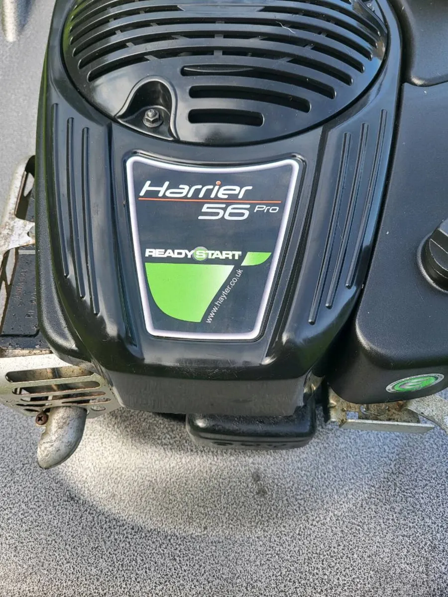 Hayter roller lawnmower - Image 3