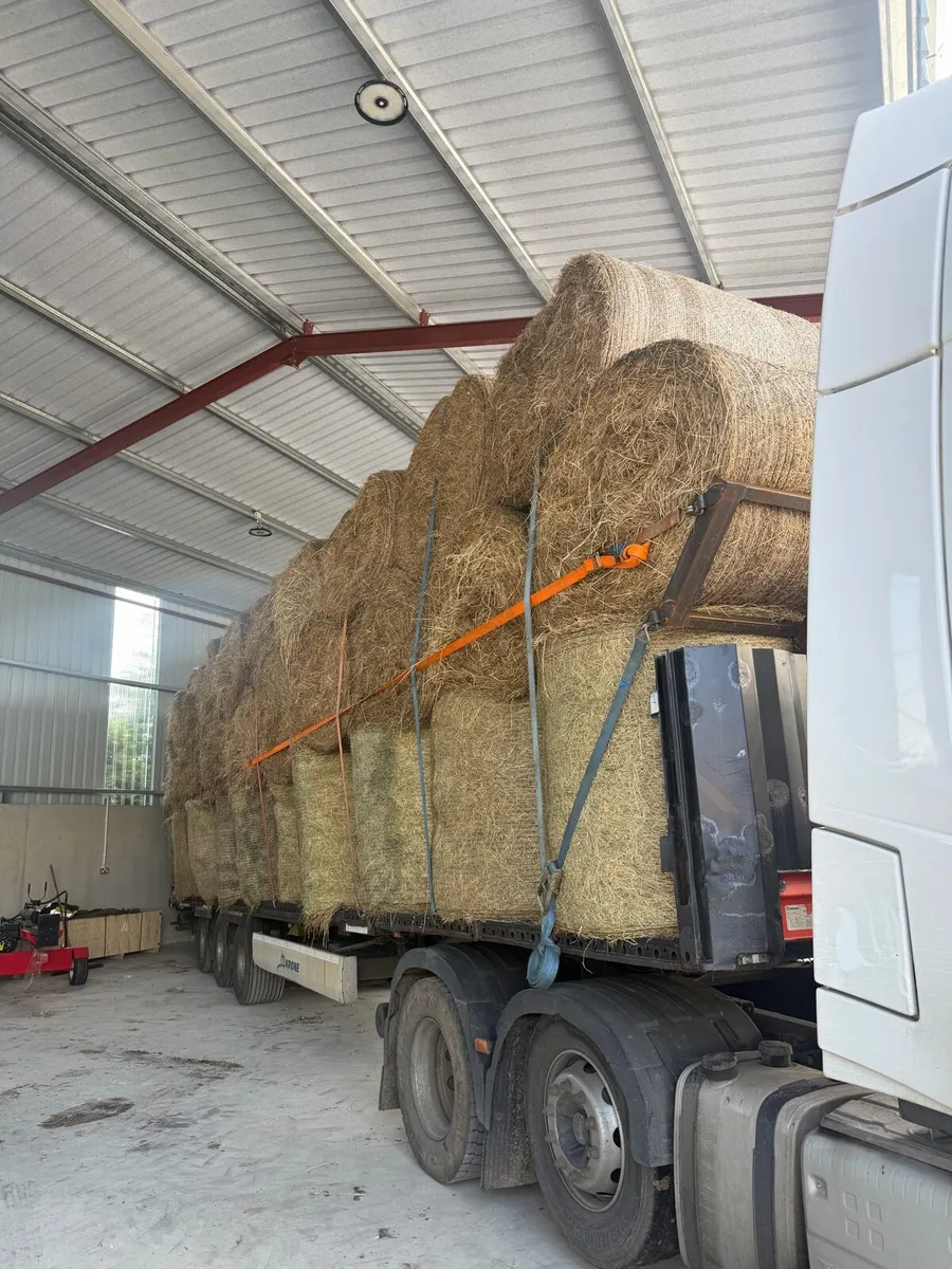 2026 May Hay - Delivery included - Image 2