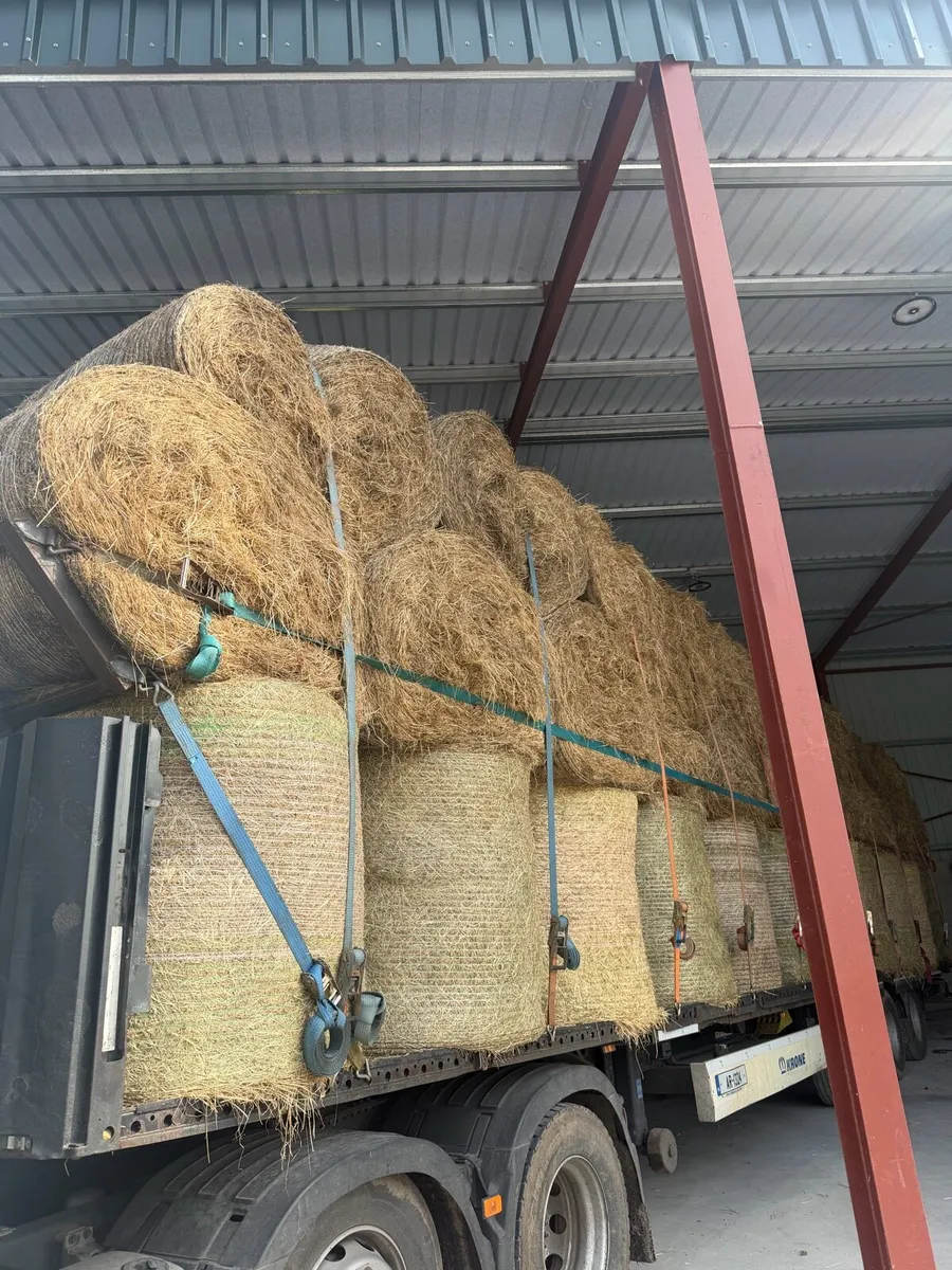 2026 May Hay - Delivery included - Image 3