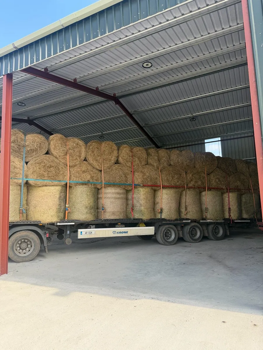 2026 May Hay - Delivery included - Image 1