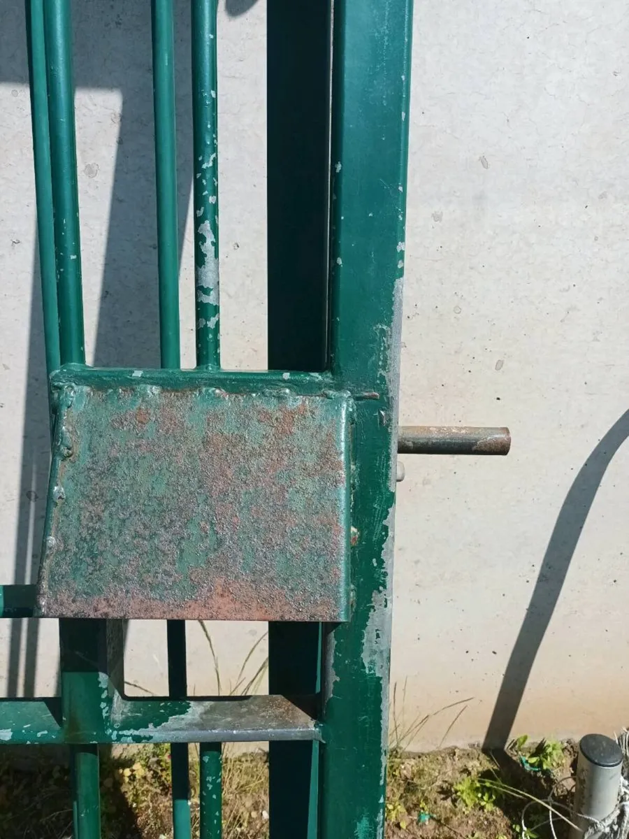 Iron Gates - Image 3