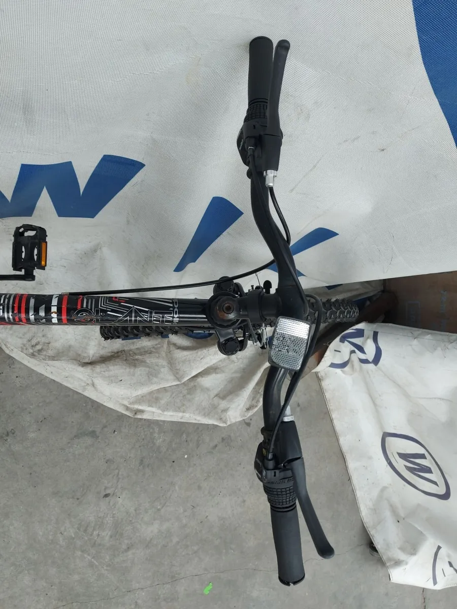 Online Push Bike Auction - Image 2