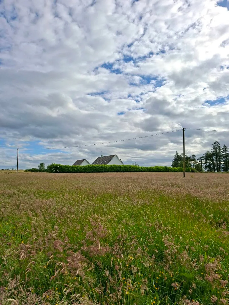 Square bales of hay - Image 1