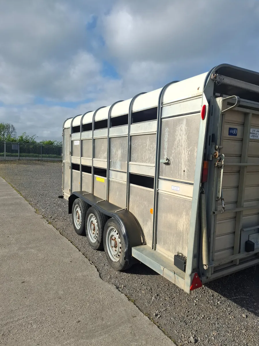 Ifor williams - Image 4
