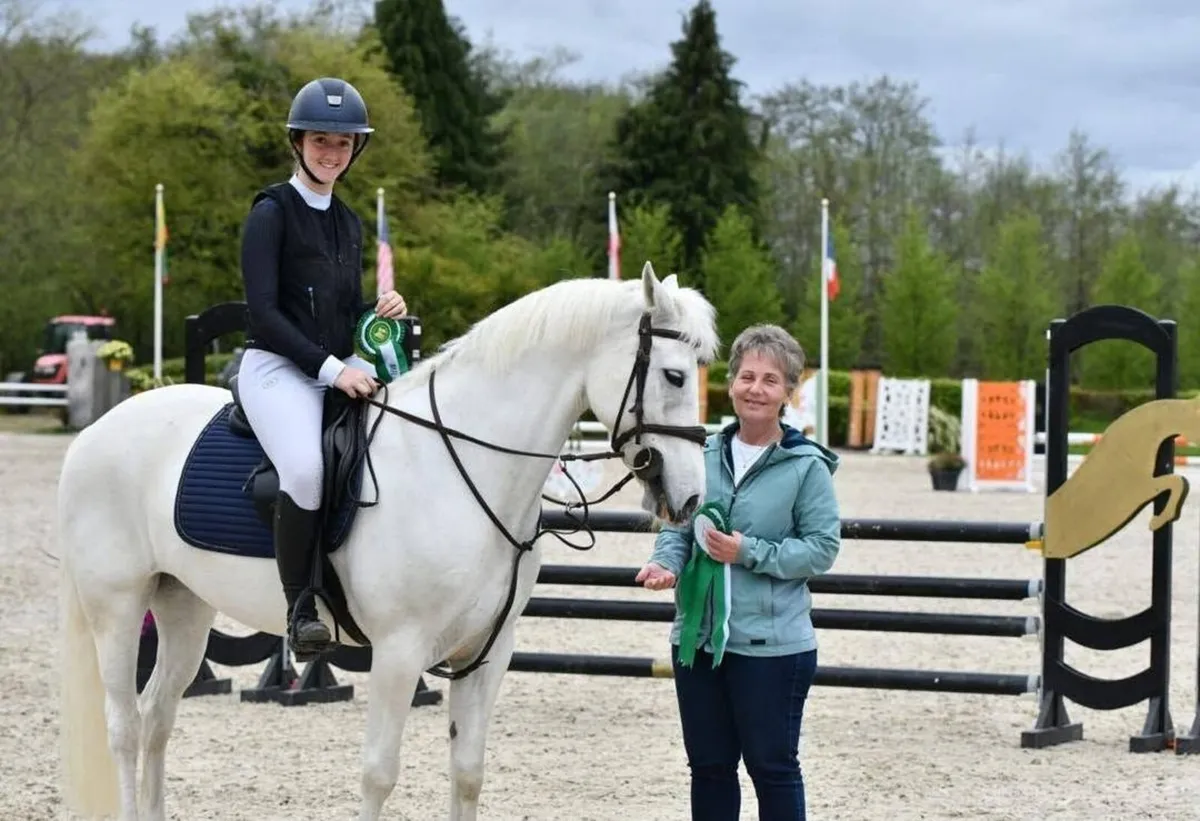 🌟 Schoolmaster SJI pony 🌟 - Image 1