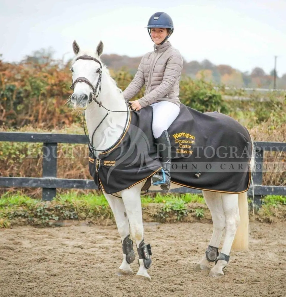 🌟 Schoolmaster SJI pony 🌟 - Image 3