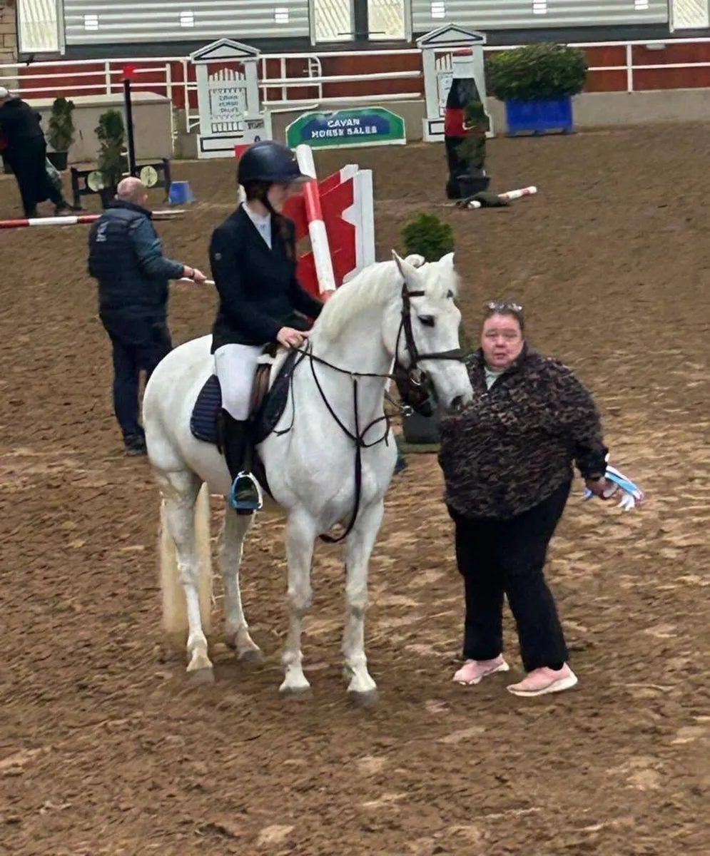 🌟 Schoolmaster SJI pony 🌟 - Image 4