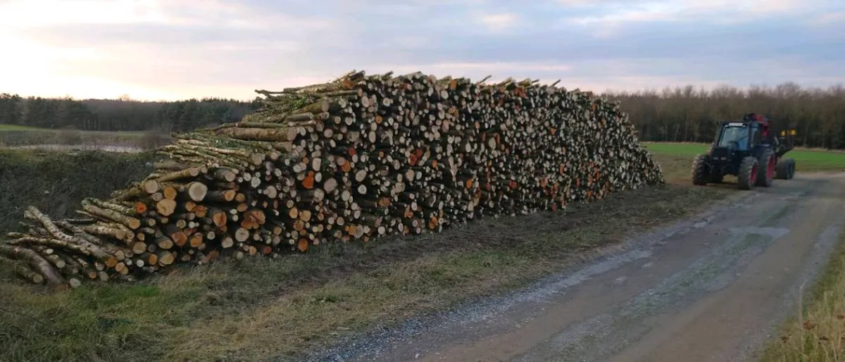 Hardwood thinnings