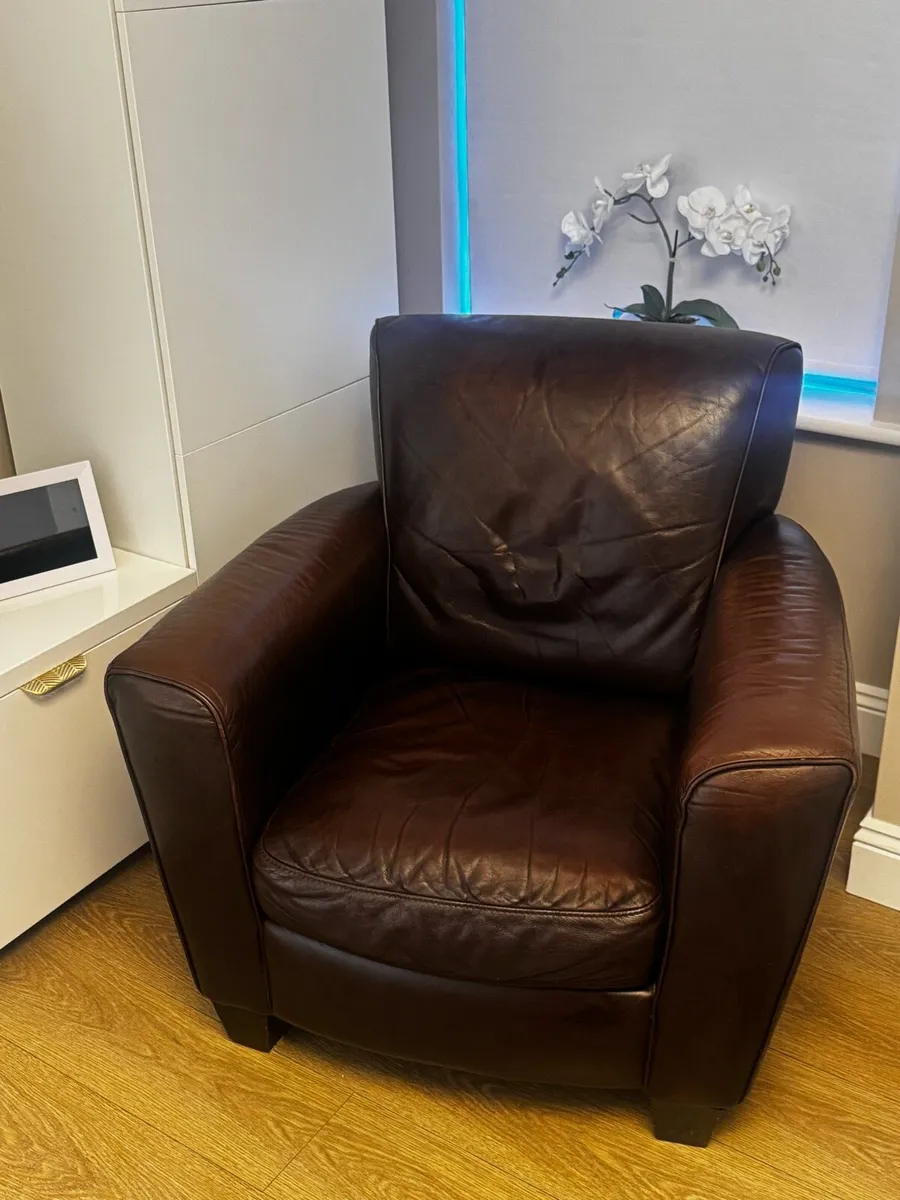 Natuzzi Genuine Leather Armchair - Dark Brown - Image 1