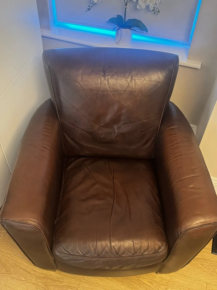 Natuzzi Genuine Leather Armchair - Dark Brown - Image 2