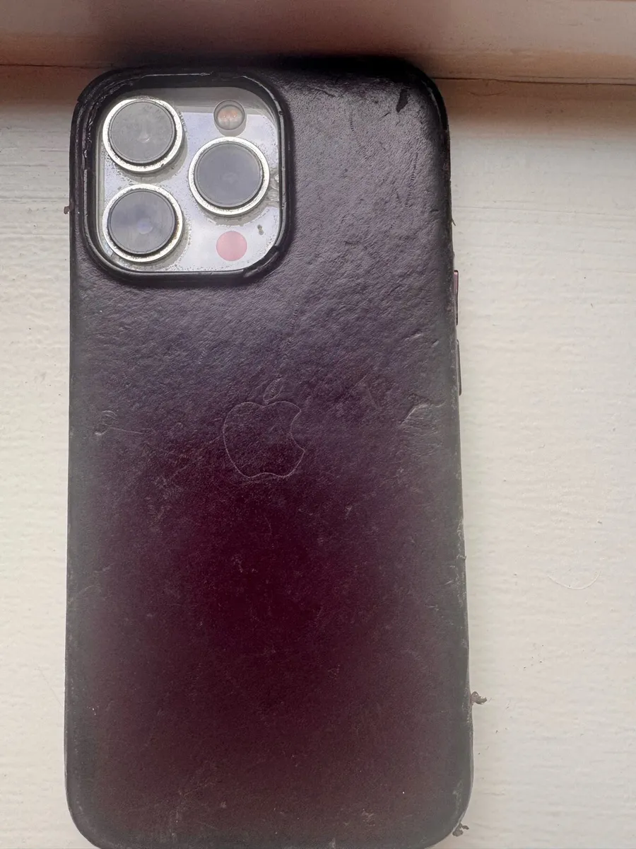 iPhone 13 Pro 256 GB - Image 3