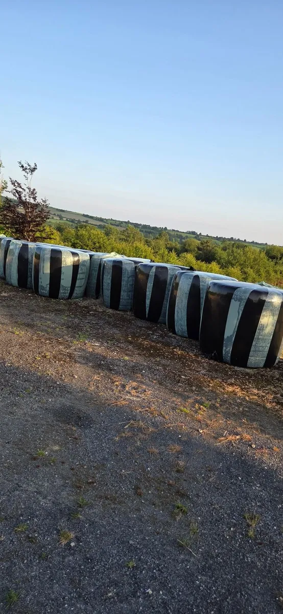 Silage Bales - Image 1