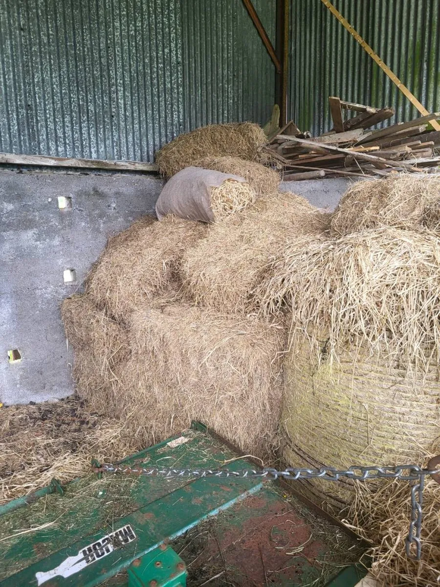 Square Hay Bales