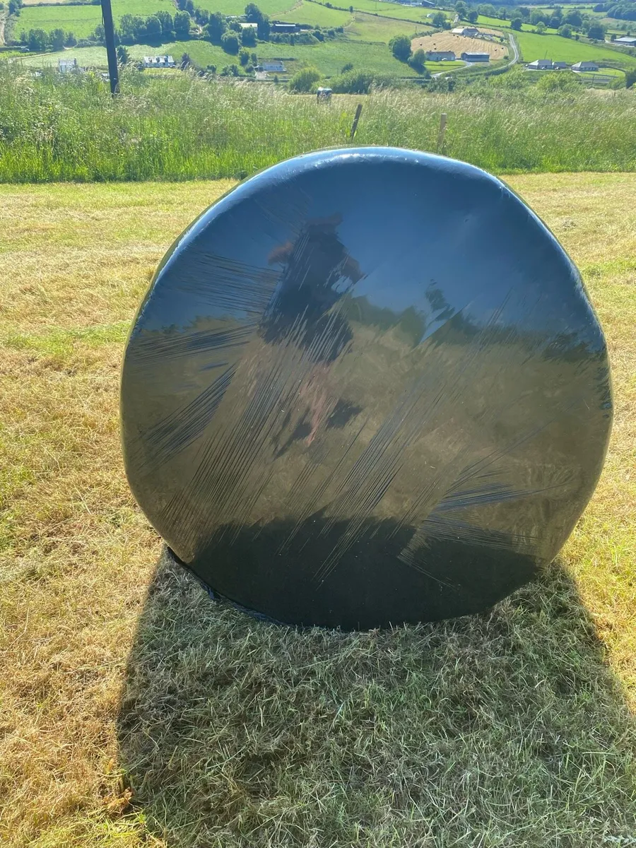 Organic hay and Haylage - Image 1