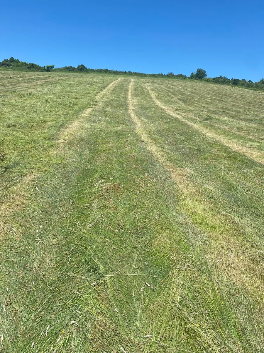 Organic hay and Haylage - Image 2