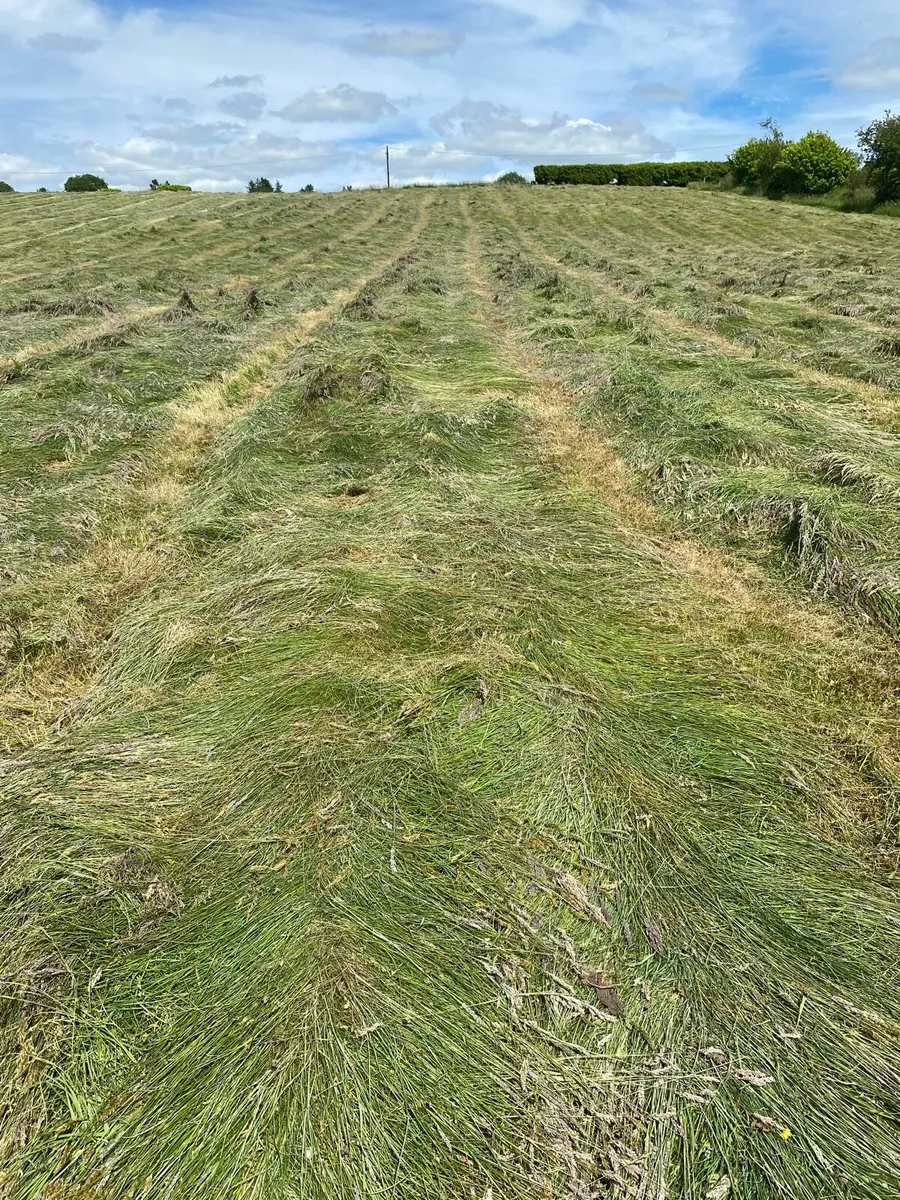 Organic hay and Haylage - Image 3