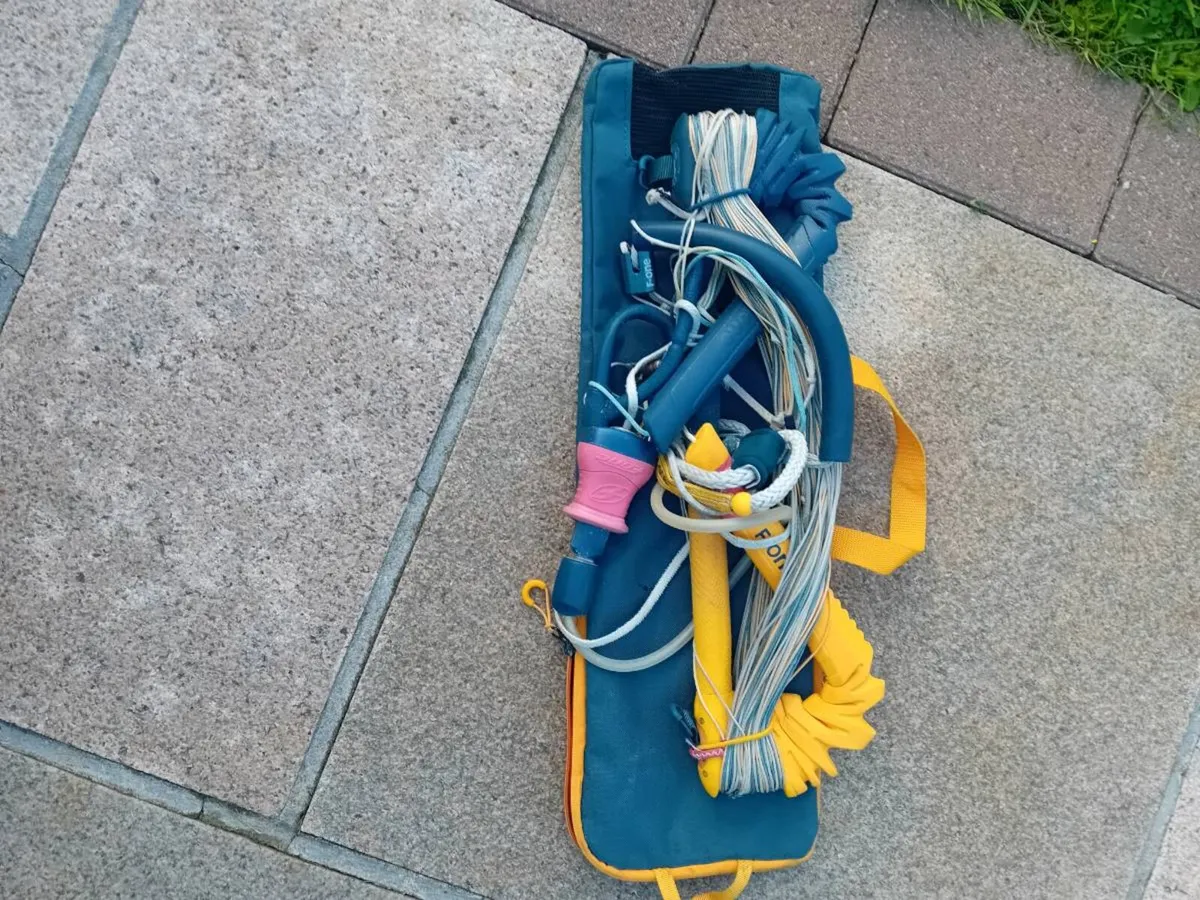 9m kite - Image 4