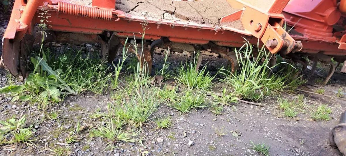 Kuhn Power harrow - Image 4