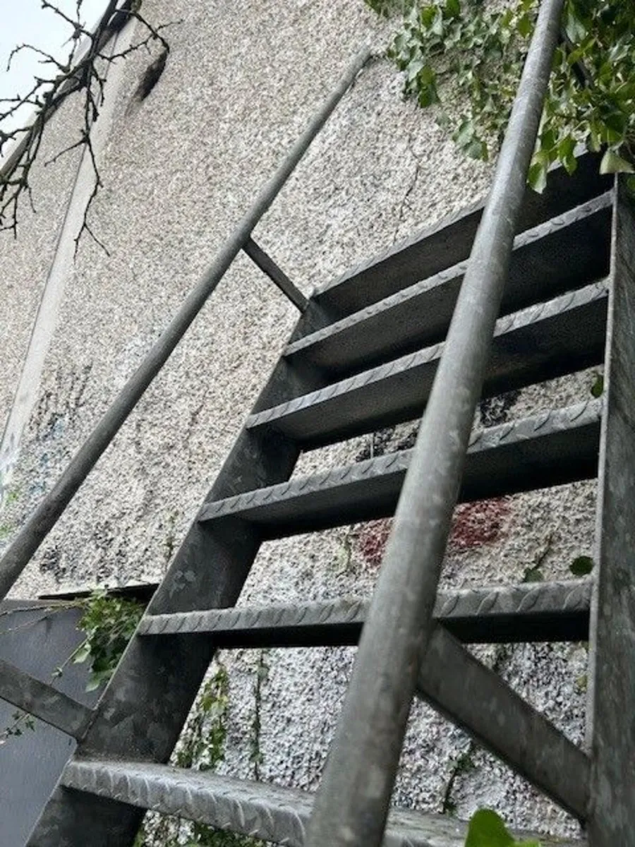 External Galvanised Ladder - Image 2