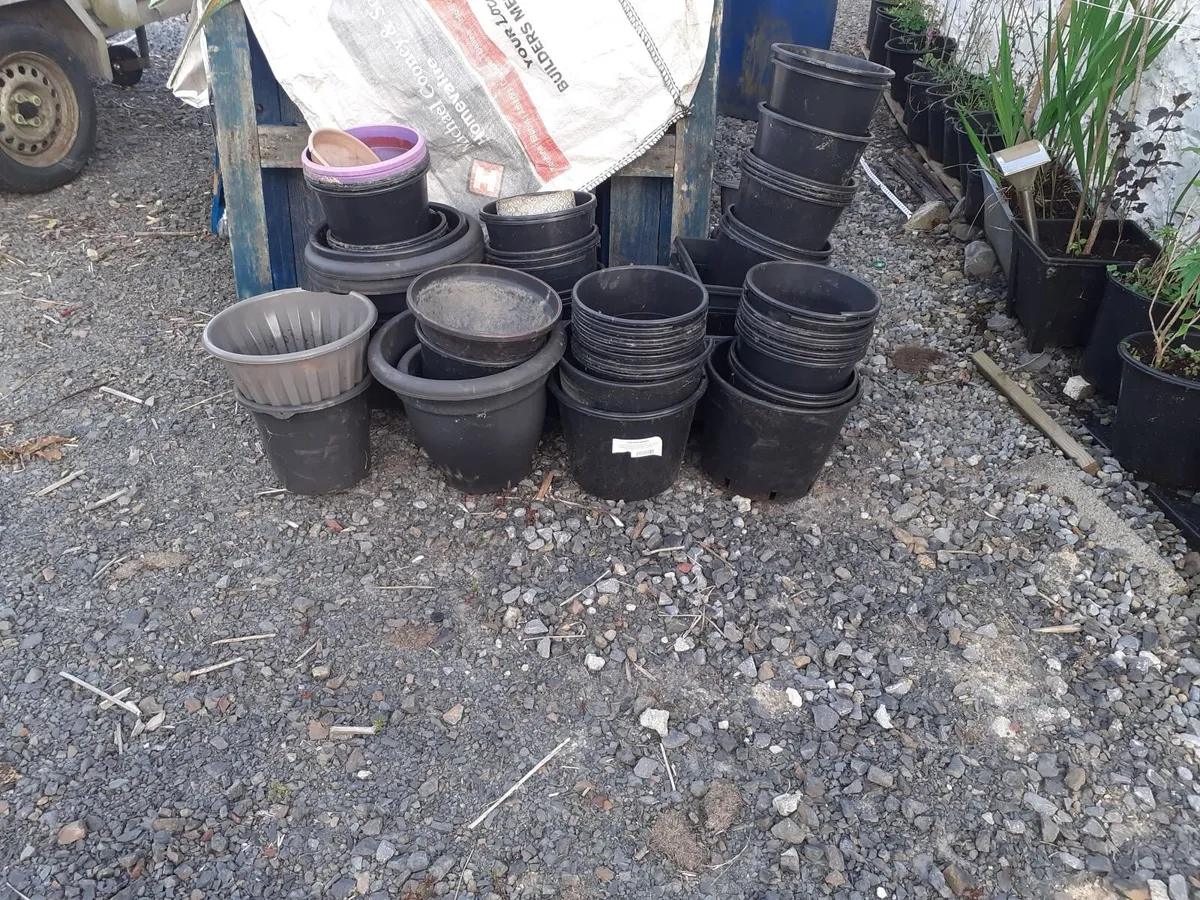 Flower pots
