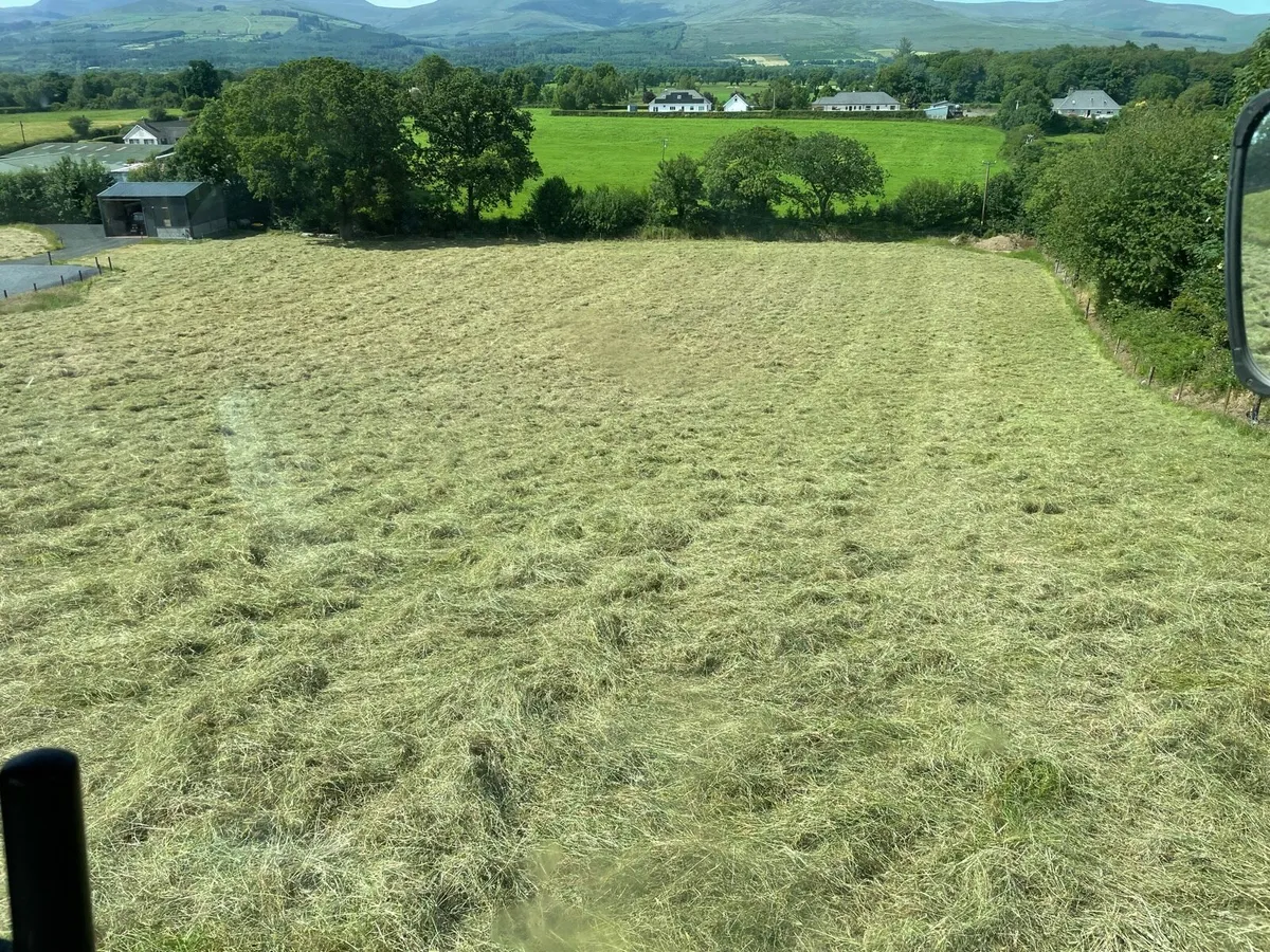Hay - Small Square Bales - Image 2