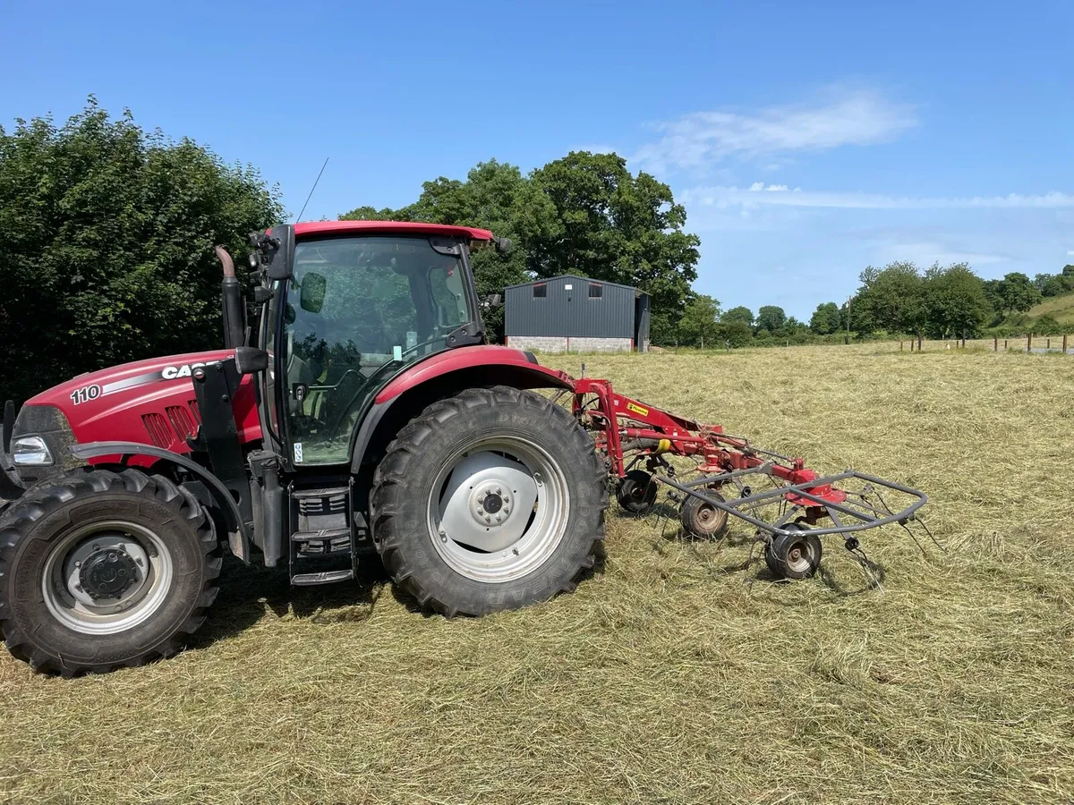 Hay - Small Square Bales - Image 1