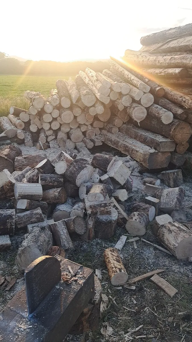 Fire wood - Image 1
