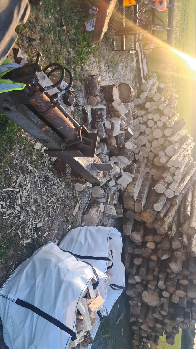 Fire wood - Image 2