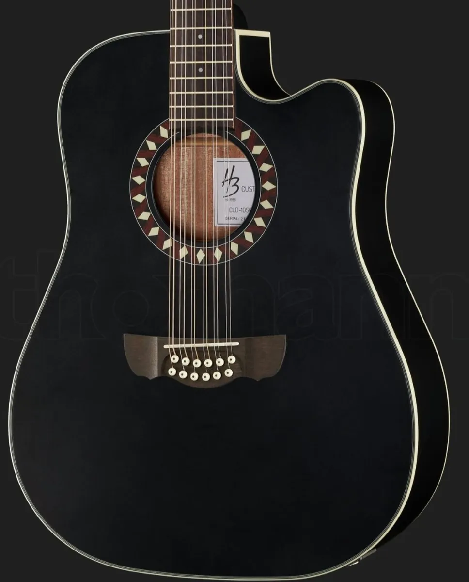 HB 12 string semi acoustic guitar - Image 4