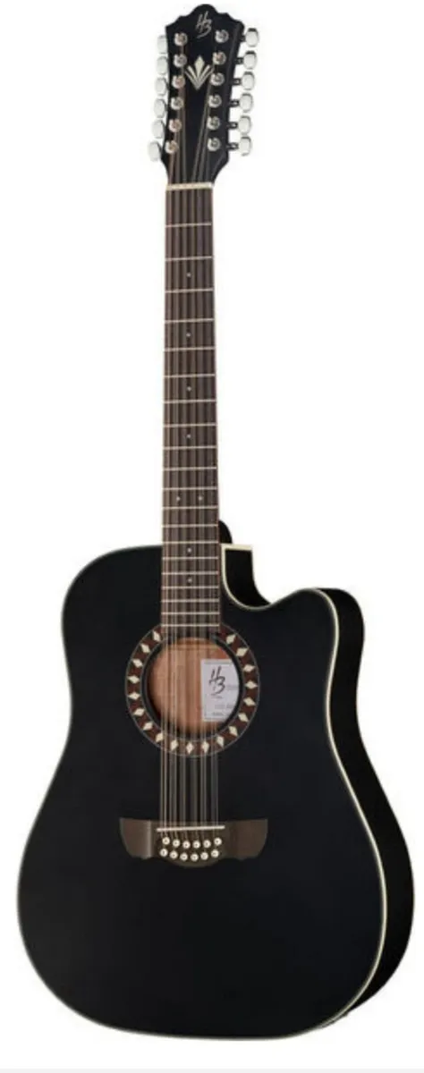 HB 12 string semi acoustic guitar - Image 1