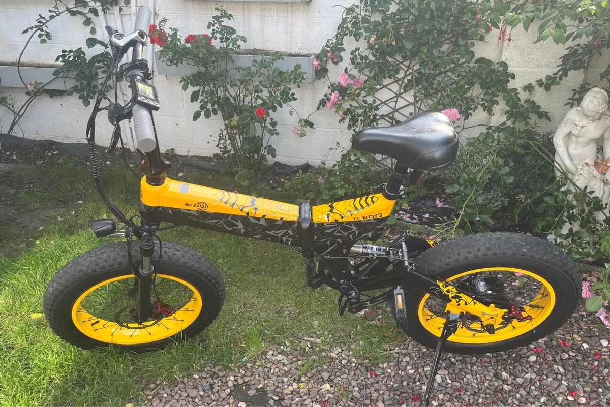 Electric bike - Image 1