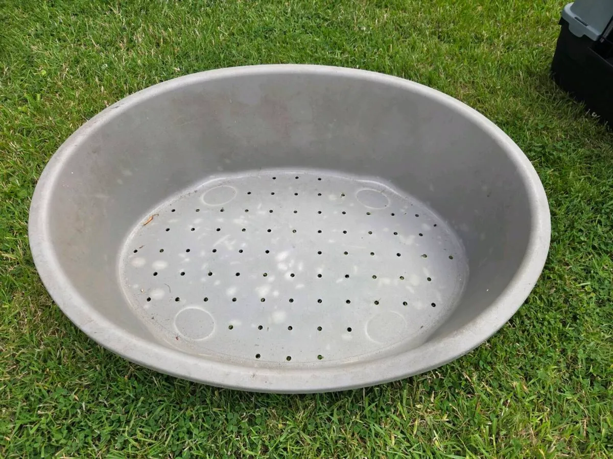 Dog Bed - Image 1